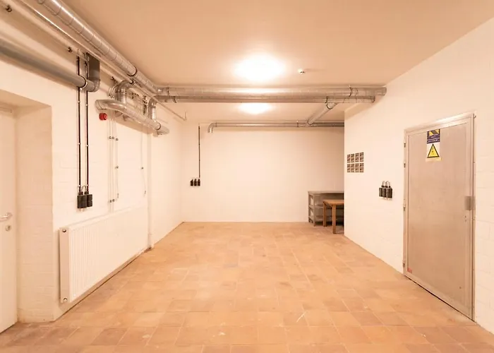 Zonga Bonzai Blaimont