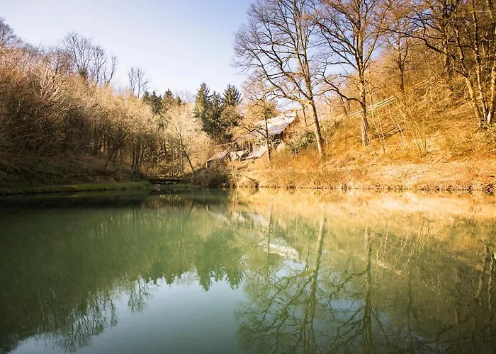 Zonga Bonzai * Blaimont