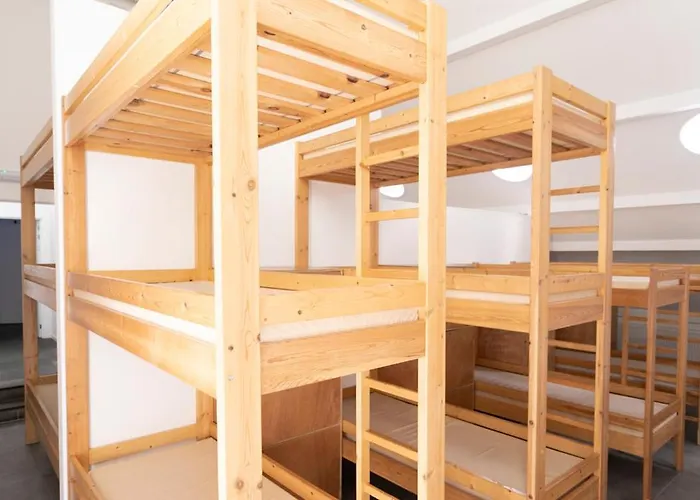 Zonga Bonzai Blaimont